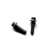 Flange screw 20405504